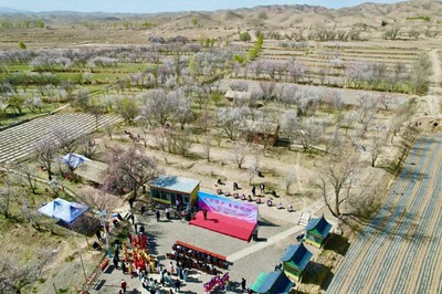 农文旅融合发展 陈户镇推动乡村旅游大提升