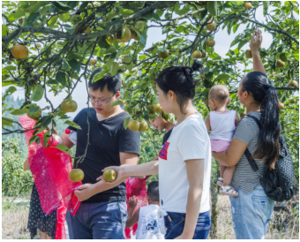 镜头下的悠然时光 探索休闲观光活动中的视觉叙事