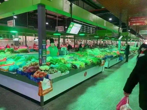 市场监管新春行 食品安全四大行动守护佳节，休闲观光活动惠民生