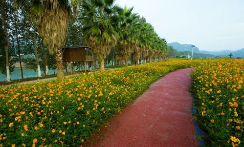 元旦出行大礼包丨人少景美不看海，山野闲趣与古韵新姿伴你跨年