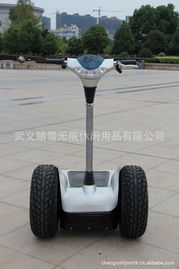 永康市踏雪无痕休闲用品有限公司——电动观光车产品列表与休闲观光活动