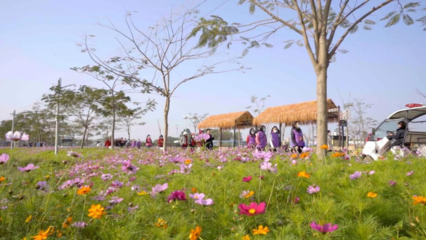 百花争春！2023广东省森林文化周春季活动正式启动——邀你共赴一场森林里的休闲观光之旅